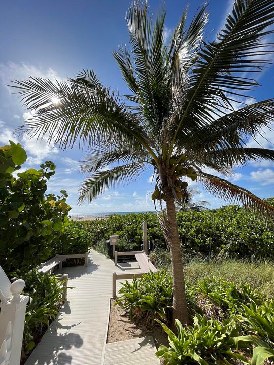 出租: $5,500 (2 贝兹, 2 浴室, 1219 平方英尺)