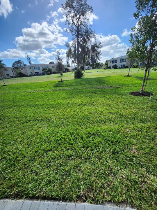 En Renta: $3,300 (2 camas, 2 baños, 1308 Pies cuadrados)