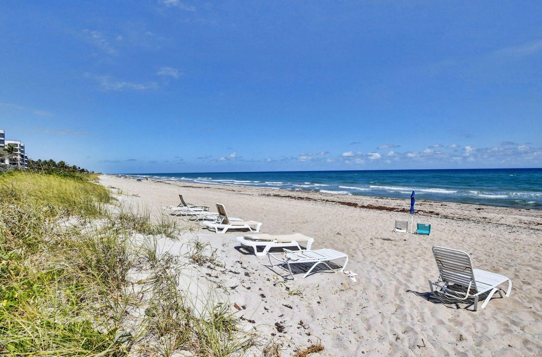 For Sale: $500,000 (1 beds, 1 baths, 1013 Square Feet)