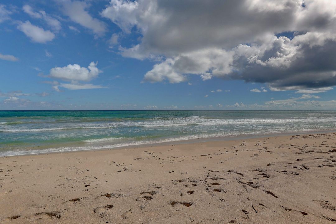 出租: $3,800 (3 贝兹, 2 浴室, 1867 平方英尺)