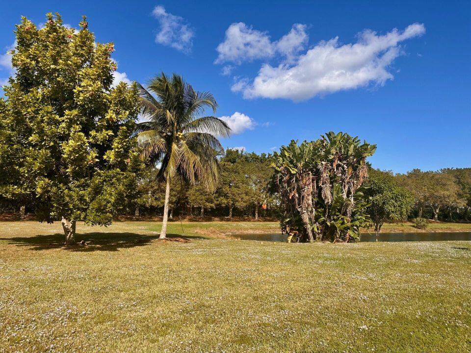 For Rent: $2,800 (3 beds, 2 baths, 1295 Square Feet)