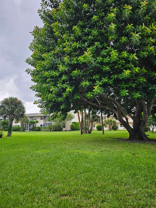 En Renta: $1,400 (2 camas, 1 baños, 819 Pies cuadrados)