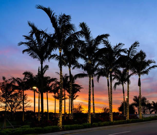 待售: $499,000 (3 贝兹, 2 浴室, 2413 平方英尺)