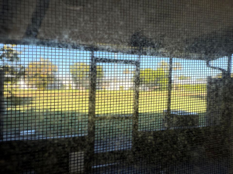 出租: $2,500 (3 贝兹, 2 浴室, 1242 平方英尺)