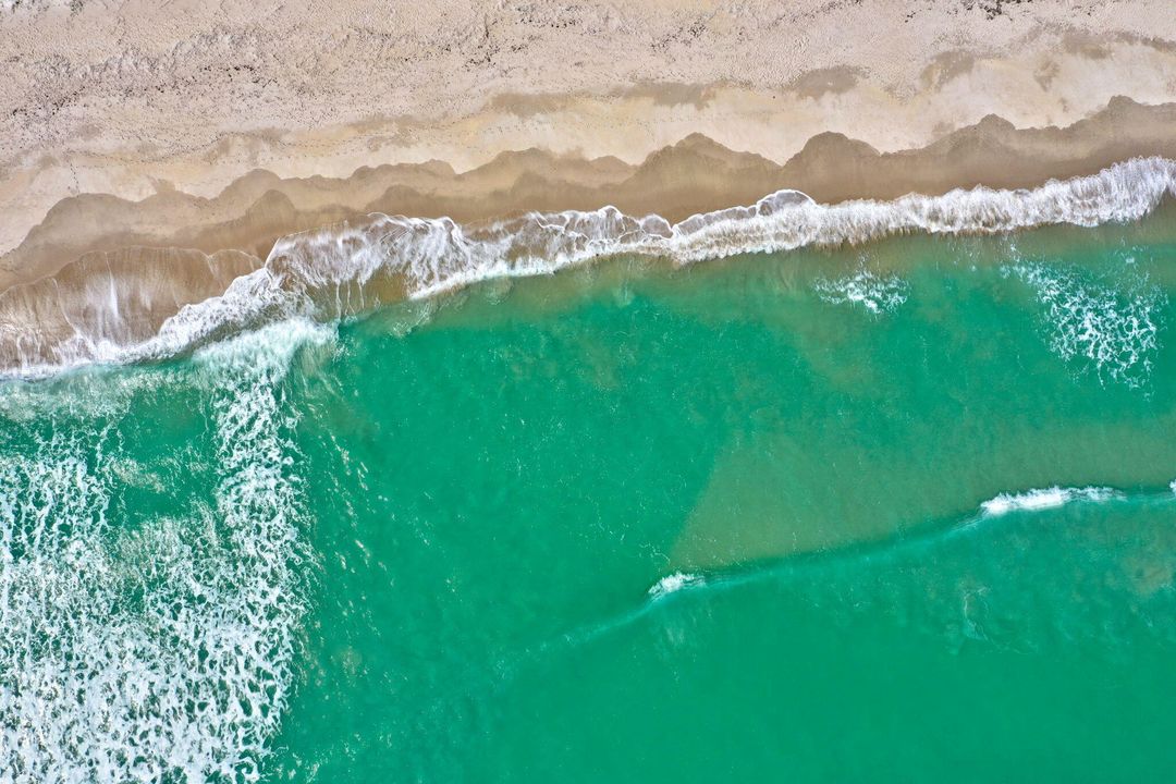 出租: $4,500 (2 贝兹, 2 浴室, 1251 平方英尺)