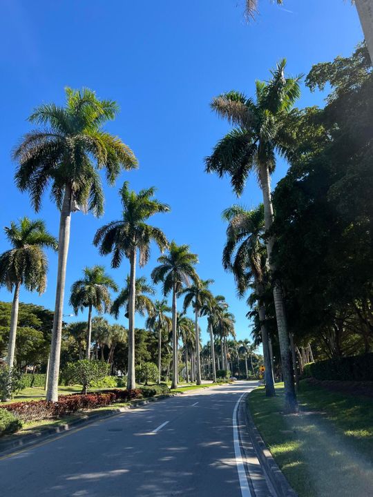 For Sale: $495,000 (4 beds, 2 baths, 1722 Square Feet)