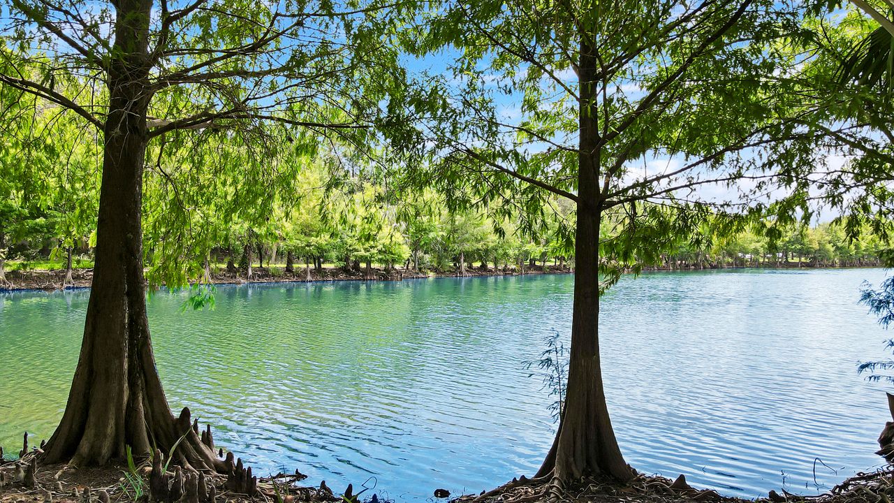 En Venta: $369,000 (4 camas, 3 baños, 2160 Pies cuadrados)