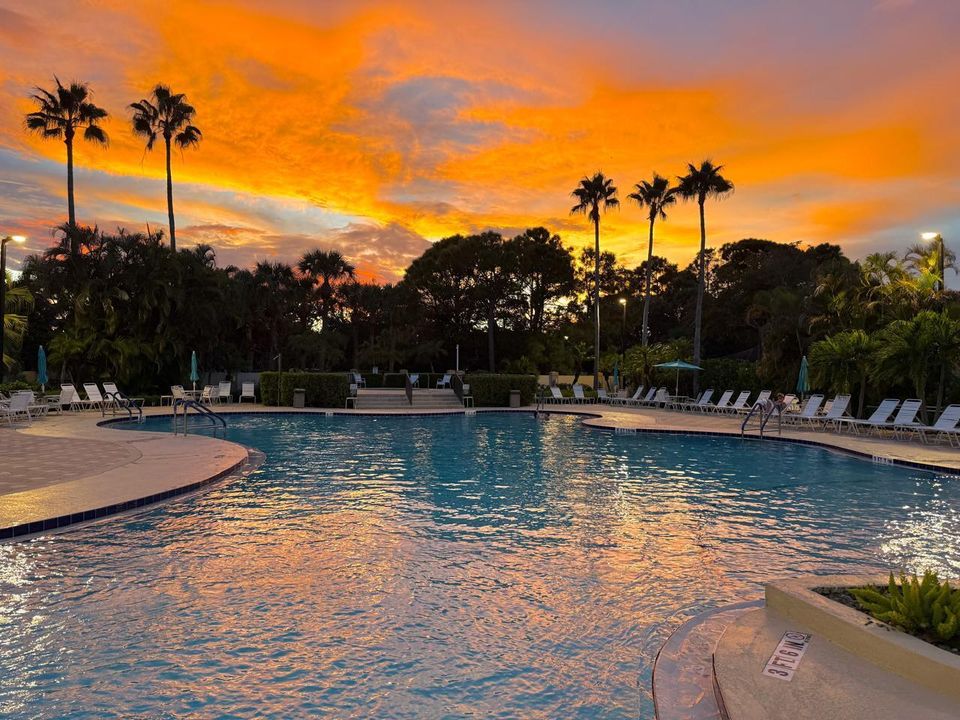 Active With Contract: $1,300 (1 beds, 1 baths, 450 Square Feet)