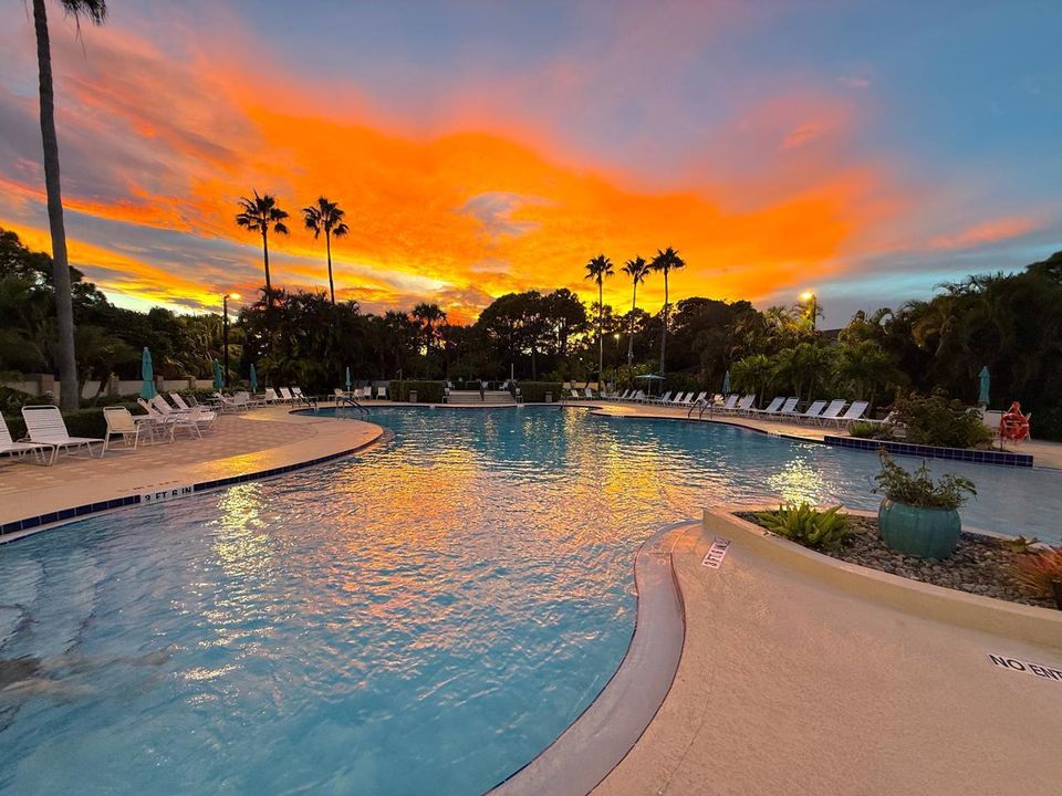 Active With Contract: $1,300 (1 beds, 1 baths, 450 Square Feet)