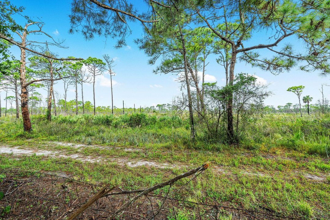 For Rent: $1,900 (1 beds, 1 baths, 816 Square Feet)