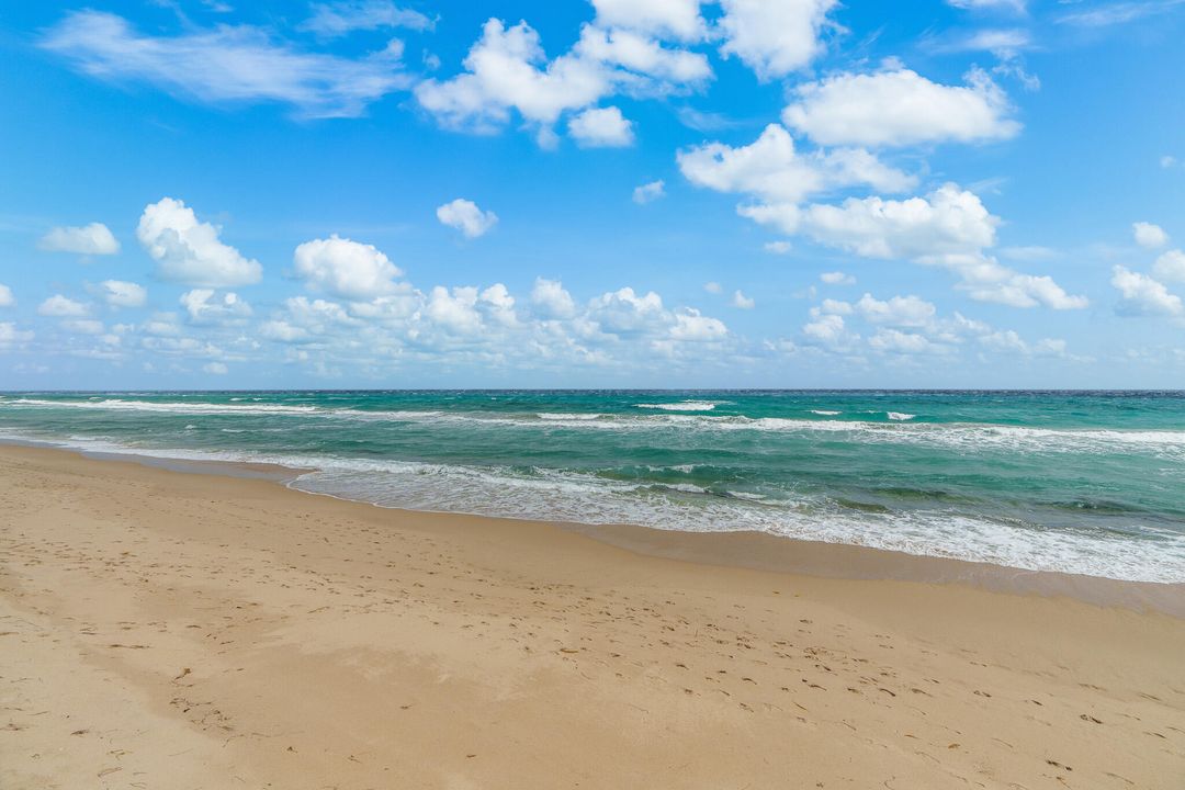 出租: $2,950 (1 贝兹, 1 浴室, 1013 平方英尺)