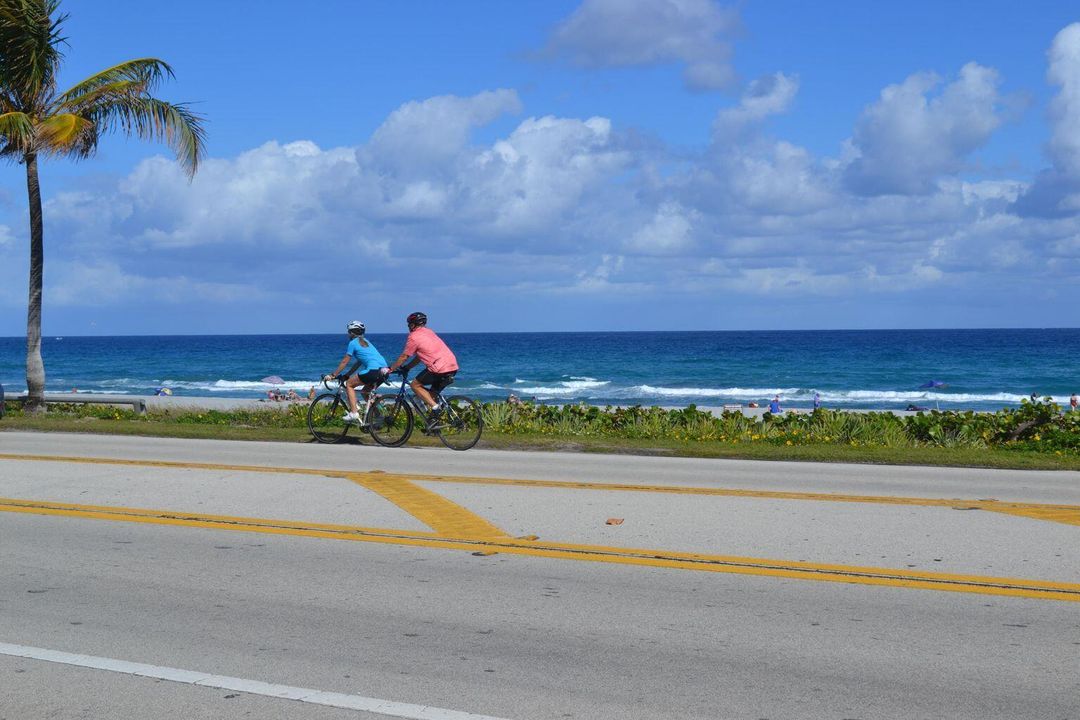 出租: $2,950 (2 贝兹, 1 浴室, 925 平方英尺)