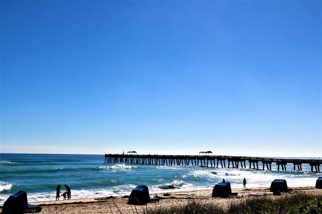 出租: $1,900 (2 贝兹, 2 浴室, 1029 平方英尺)