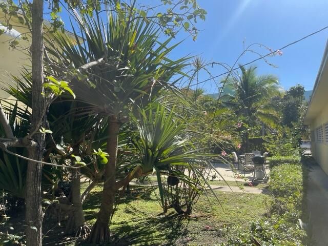 出租: $2,100 (1 贝兹, 1 浴室, 700 平方英尺)