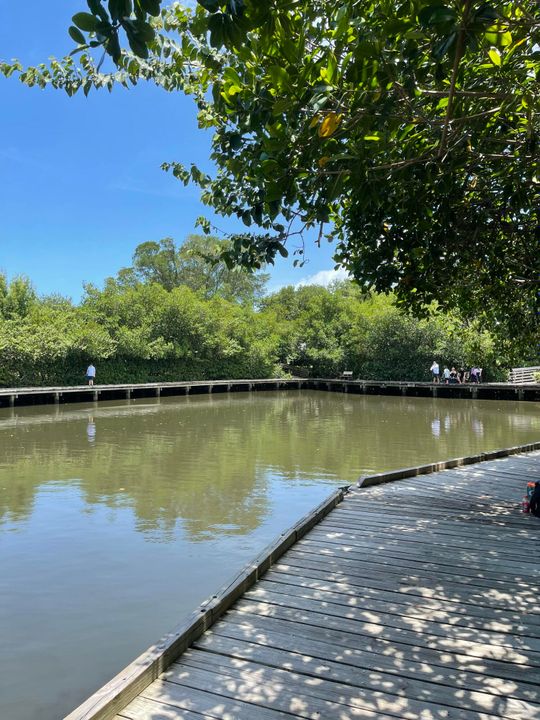 For Sale: $600,000 (3 beds, 3 baths, 1772 Square Feet)