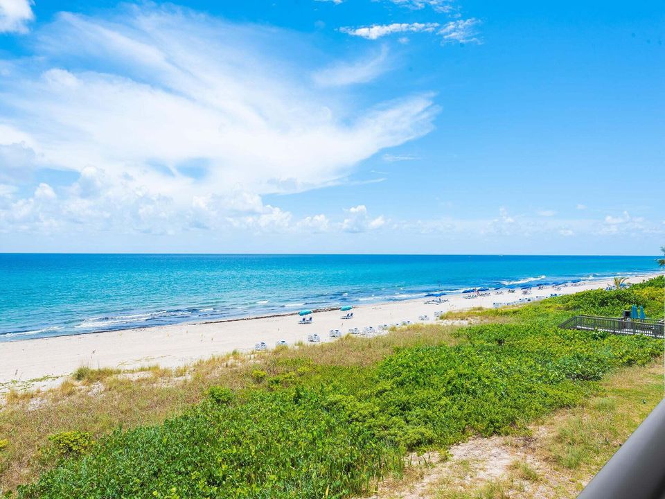 For Sale: $5,500,000 (3 beds, 3 baths, 2943 Square Feet)