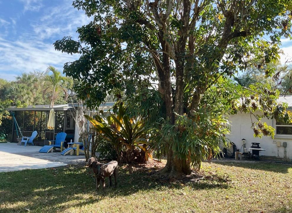 На продажу: $499,000 (3 спален, 2 ванн, 1569 Квадратных фут)