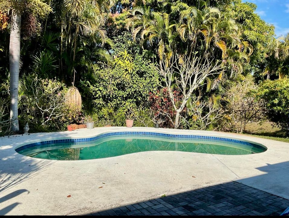 На продажу: $499,000 (3 спален, 2 ванн, 1569 Квадратных фут)