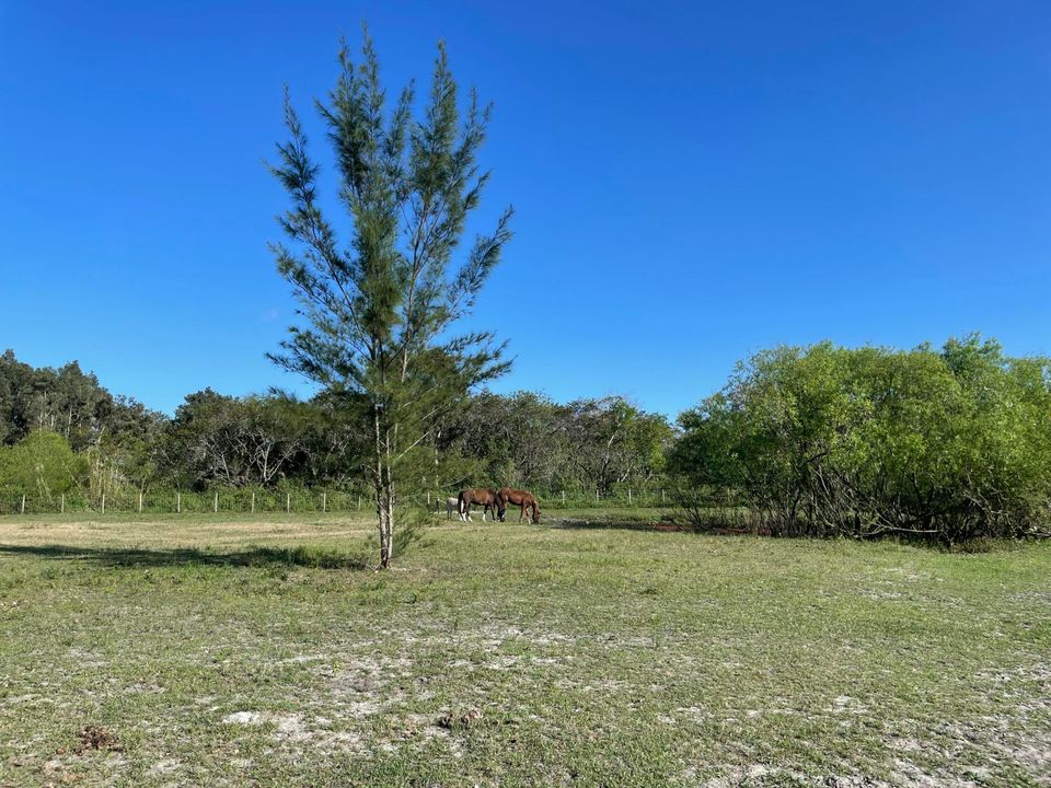 En Venta: $375,000 (0 camas, 0 baños, 0 Pies cuadrados)