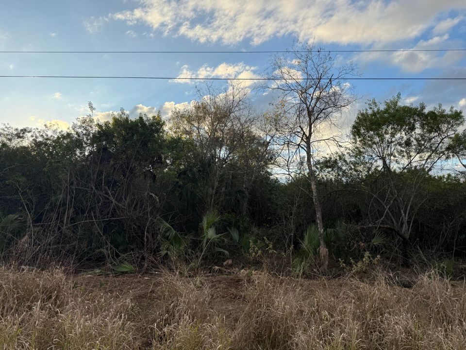 На продажу: $94,900 (0 спален, 0 ванн, 0 Квадратных фут)