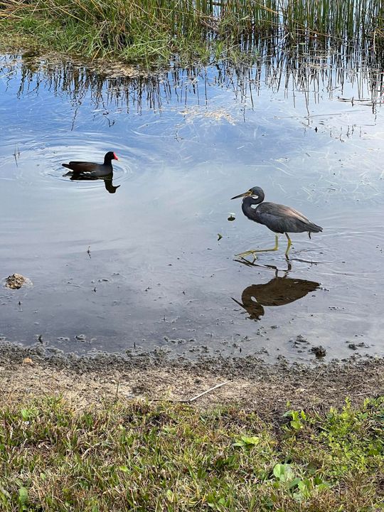 En Venta: $199,000 (2 camas, 2 baños, 1037 Pies cuadrados)