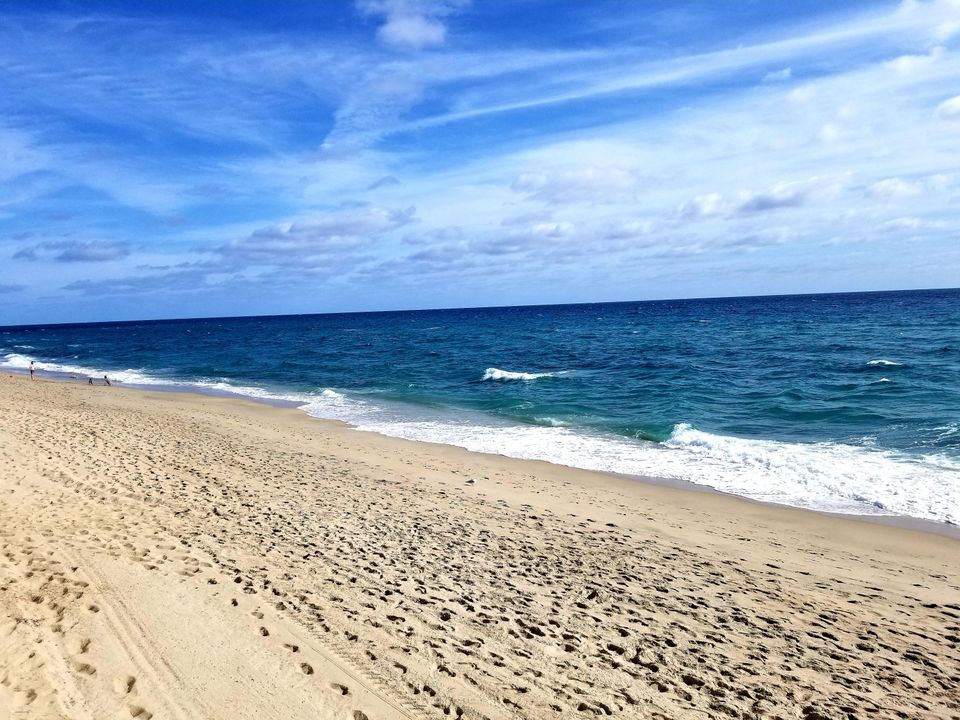 For Rent: $4,000 (2 beds, 2 baths, 1140 Square Feet)