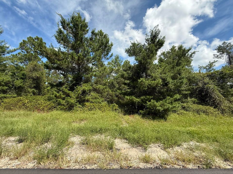 For Sale: $49,900 (0 beds, 0 baths, 0 Square Feet)