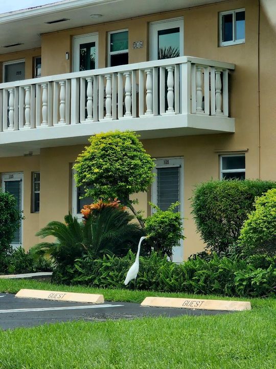 For Rent: $1,750 (2 beds, 2 baths, 860 Square Feet)