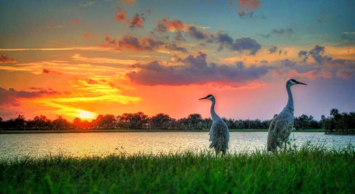 待售: $274,321 (3 贝兹, 2 浴室, 1350 平方英尺)