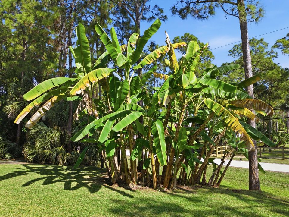For Sale: $795,000 (4 beds, 2 baths, 1896 Square Feet)