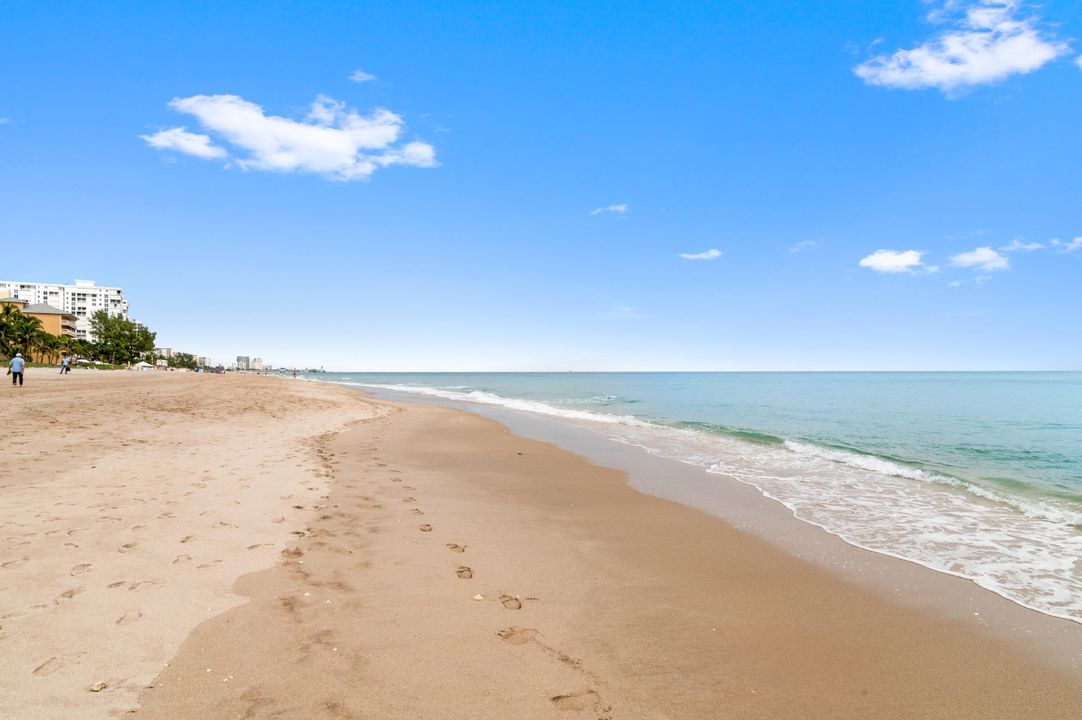 出租: $4,450 (2 贝兹, 2 浴室, 1781 平方英尺)