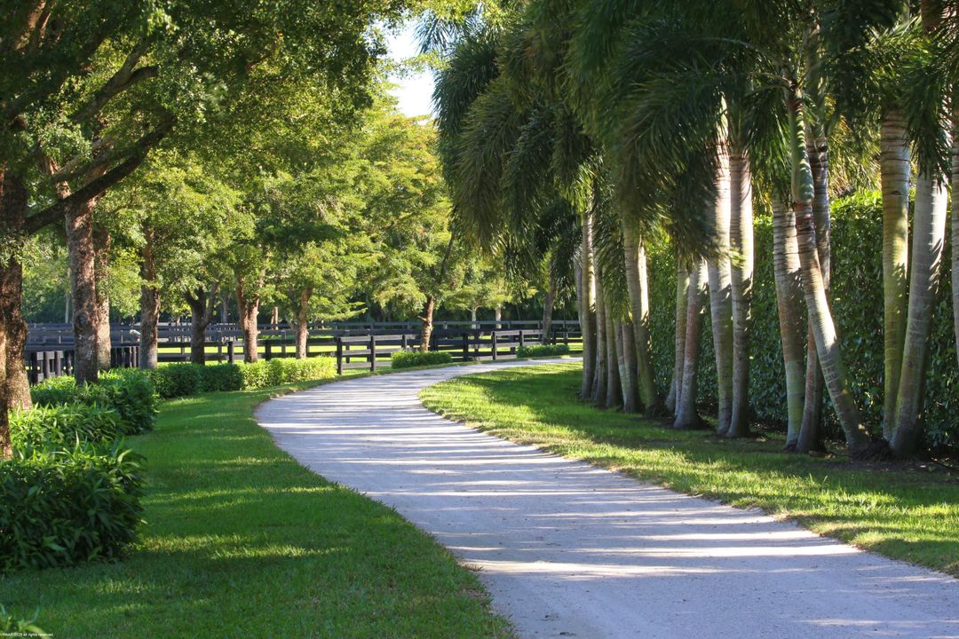 На продажу: $56,500,000 (5 спален, 7 ванн, 15029 Квадратных фут)