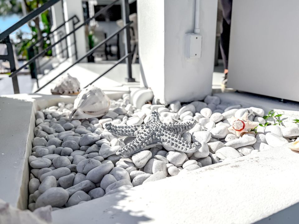 出租: $12,000 (3 贝兹, 2 浴室, 1634 平方英尺)