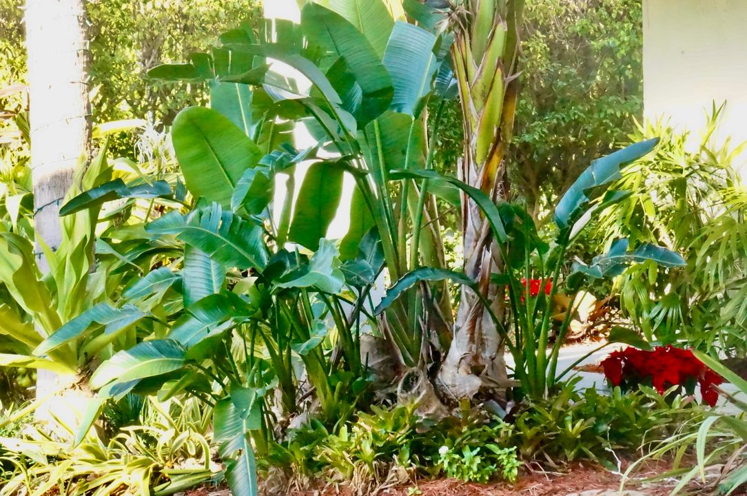 En Venta: $725,000 (2 camas, 2 baños, 1489 Pies cuadrados)