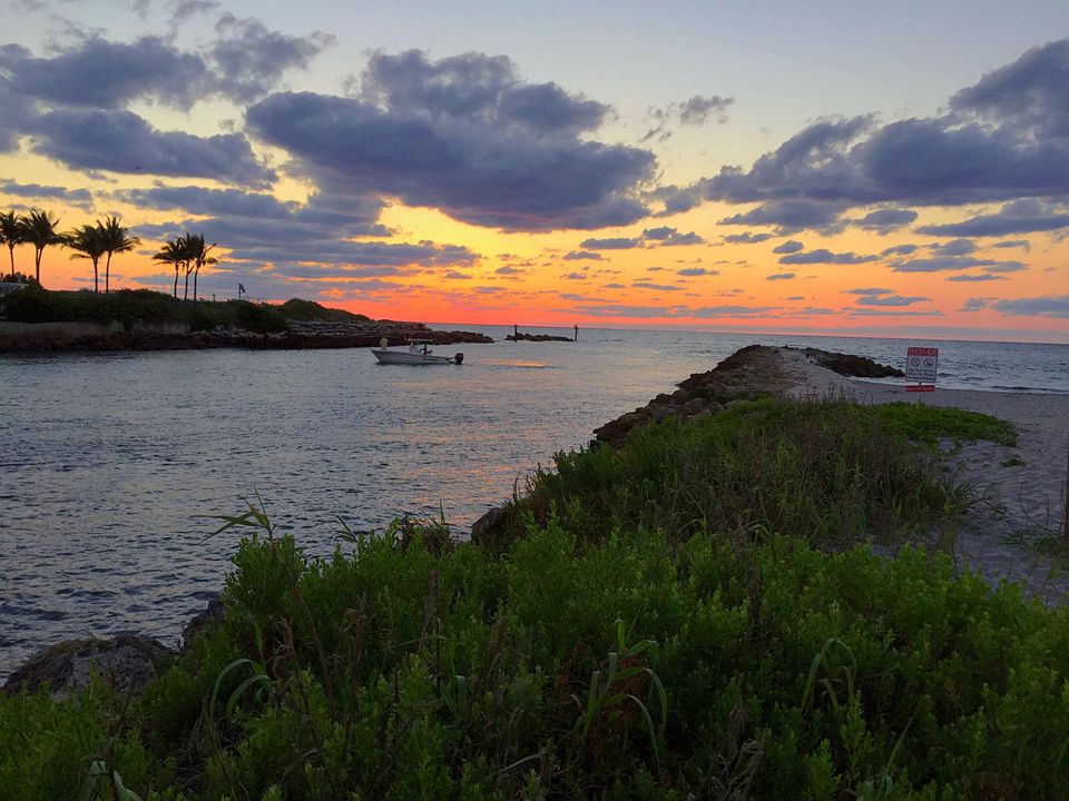 For Sale: $595,000 (3 beds, 2 baths, 1534 Square Feet)