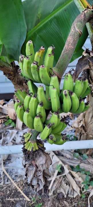 For Sale: $450,000 (4 beds, 2 baths, 1833 Square Feet)