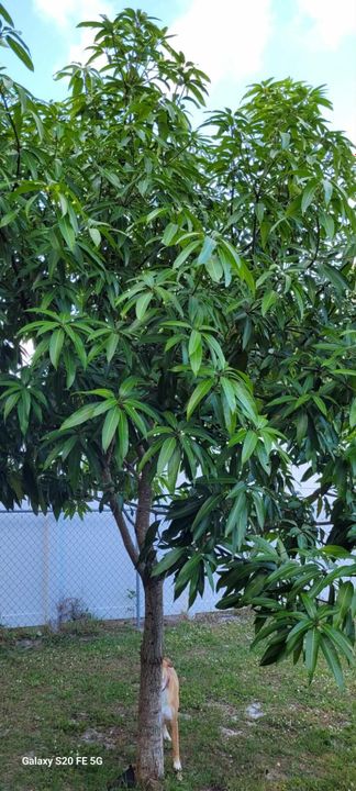 For Sale: $450,000 (4 beds, 2 baths, 1833 Square Feet)