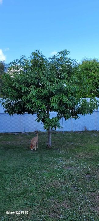 For Sale: $450,000 (4 beds, 2 baths, 1833 Square Feet)