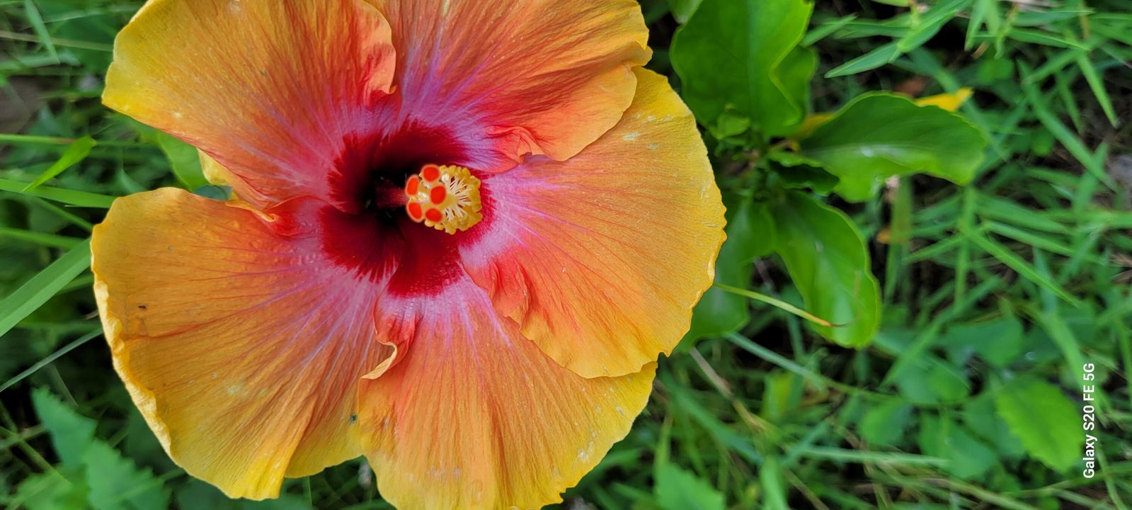 For Sale: $450,000 (4 beds, 2 baths, 1833 Square Feet)