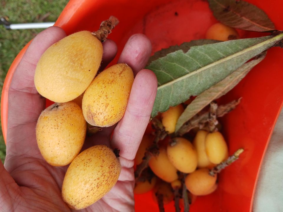 На продажу: $1,200,000 (5 спален, 4 ванн, 2717 Квадратных фут)