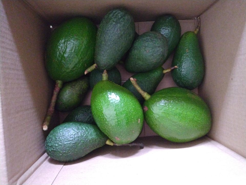 На продажу: $1,200,000 (5 спален, 4 ванн, 2717 Квадратных фут)