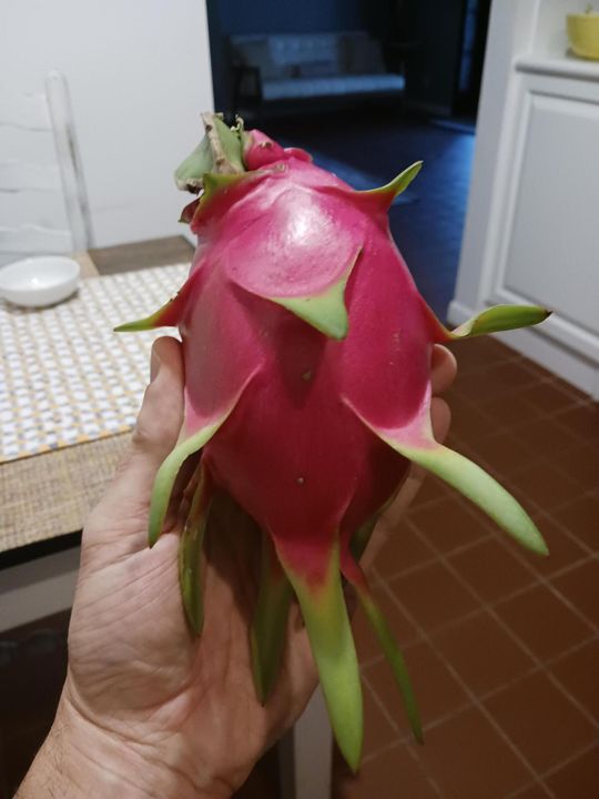 На продажу: $1,200,000 (5 спален, 4 ванн, 2717 Квадратных фут)