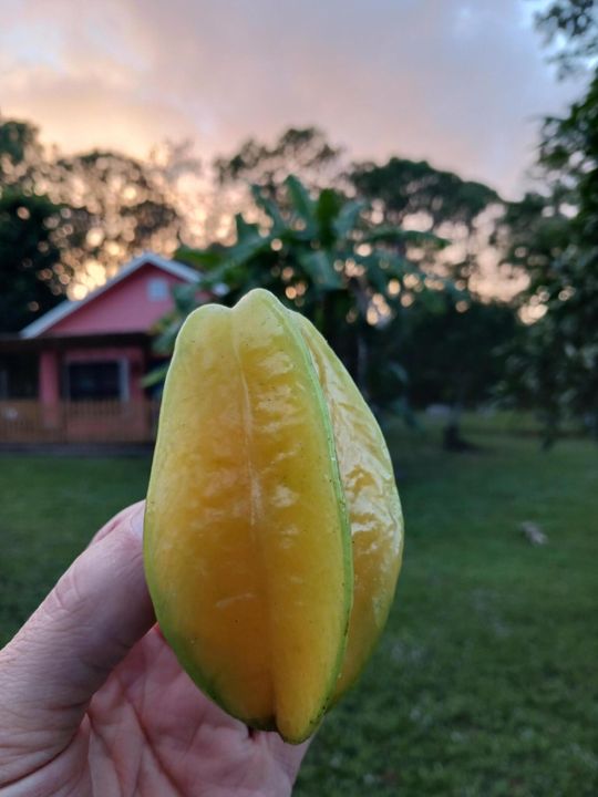 На продажу: $1,200,000 (5 спален, 4 ванн, 2717 Квадратных фут)