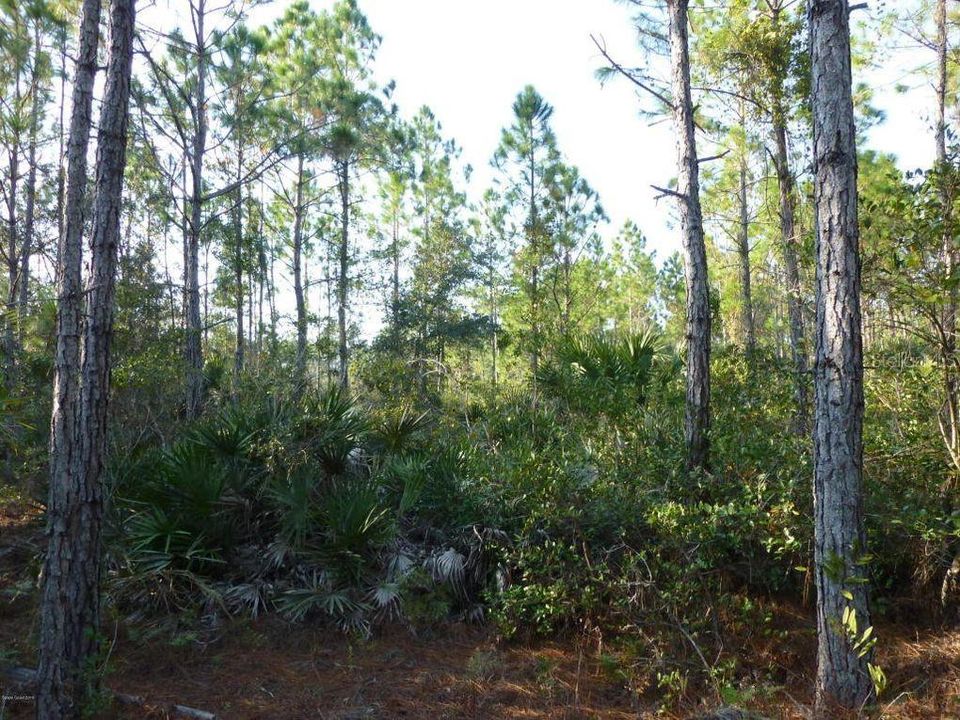 Recently Sold: $79,900 (5.09 acres)