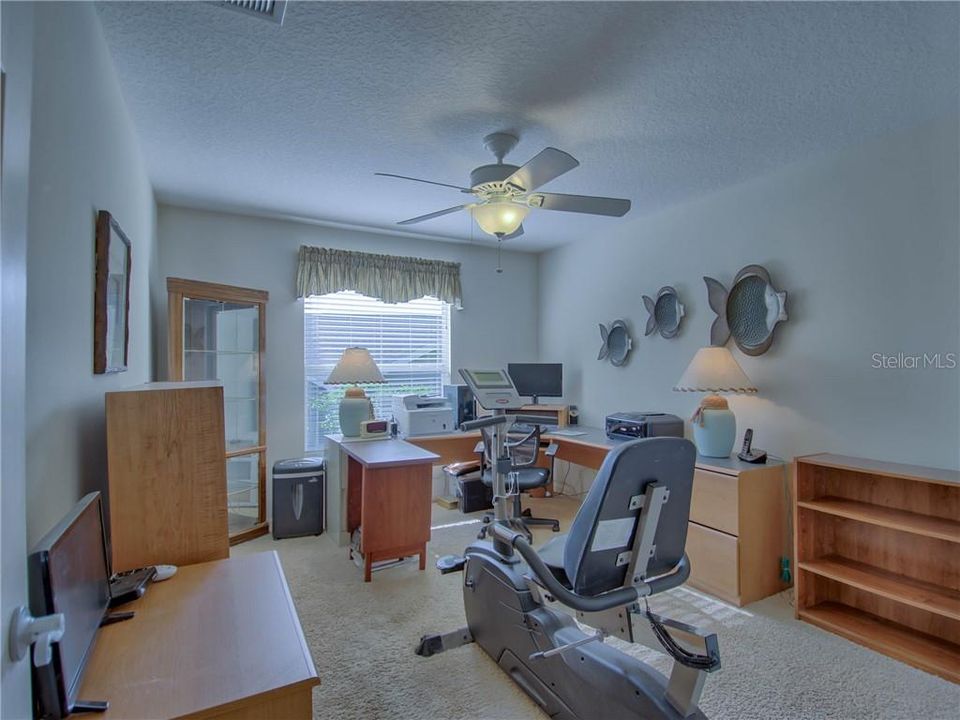 Bedroom #3/Man Cave/Office/Exercise Room