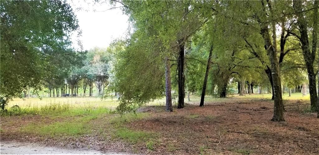 Vendido Recientemente: $54,900 (1.00 acres)