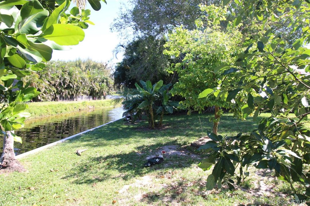 YARD VIEW WEST TO EAST
