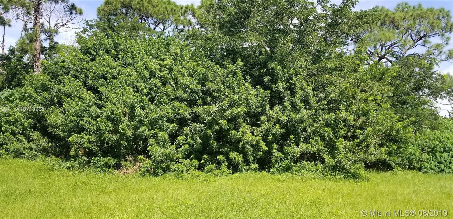 Recently Sold: $14,900 (0.46 acres)