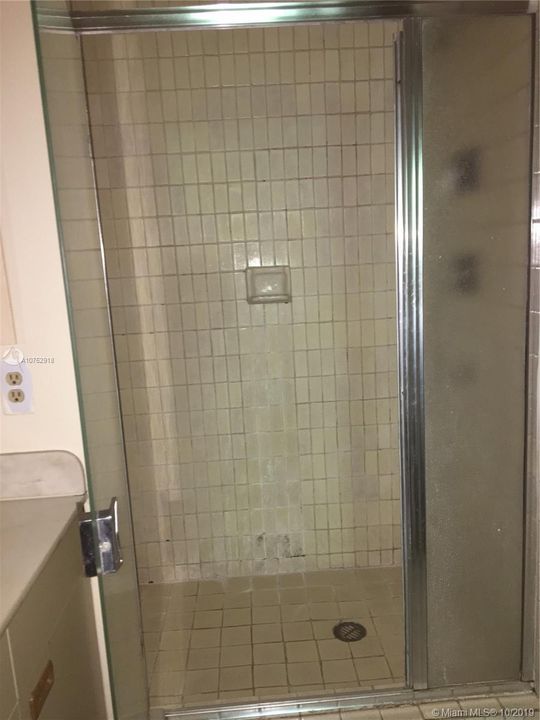 Master shower