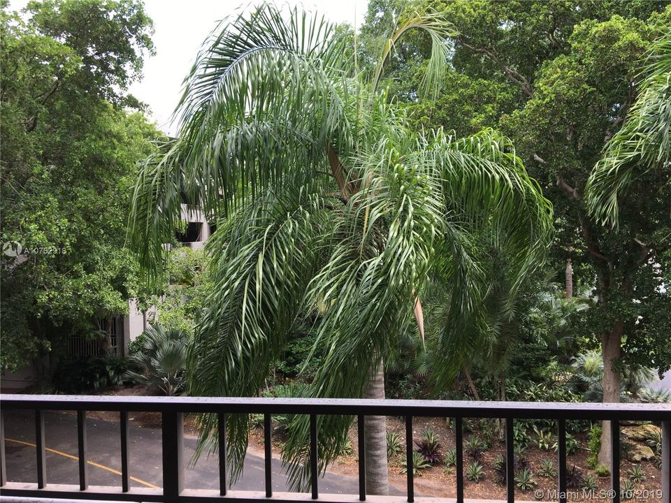 View from balcony